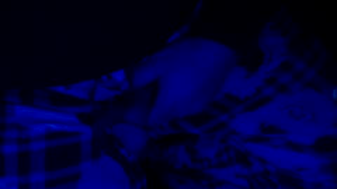 H2omygod online show from 12-14-24, 07:51