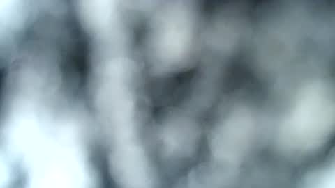 Snapshot of haileyblonde chatting on 01-17-25, 12:53 tatted blonde online show from 01-17-25, 12:53