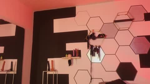 Snapshot of haileycat_ chatting on 01-25-25, 12:27 haileycat_ online show from 01-25-25, 12:27