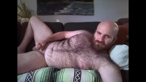 Hairiest Bear online show from 05-13-26, 07:22