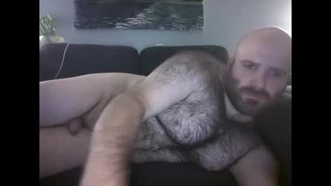 Hairiest Bear online show from 05-24-26, 09:47