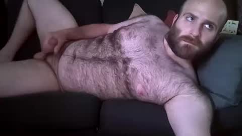 Hairiest Bear online show from 06-09-26, 07:36