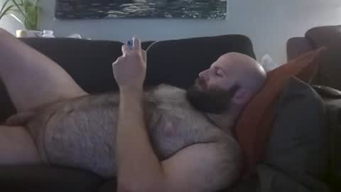 Hairiest Bear online show from 06-14-26, 05:53