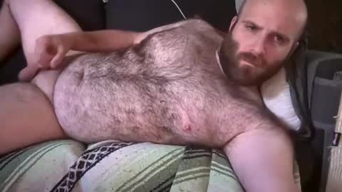 Hairiest Bear online show from 07-08-26, 07:07