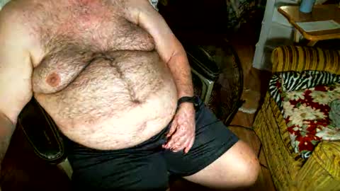 Snapshot of hairybear813 chatting on 11-02-25, 09:50 hairybear813 online show from 11-02-25, 09:50