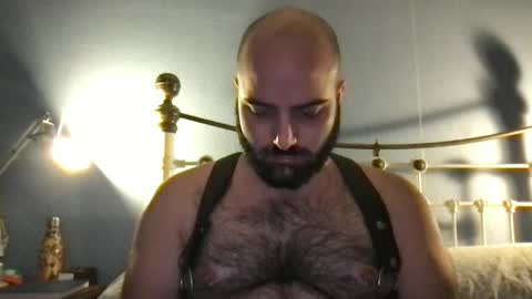Snapshot of hairyleatherguy chatting on 12-08-24, 07:22 Hairy Guy online show from 12-08-24, 07:22