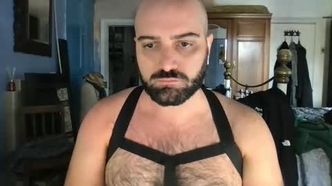 Snapshot of hairyleatherguy chatting on 09-30-25, 12:10 Hairy Guy online show from 09-30-25, 12:10