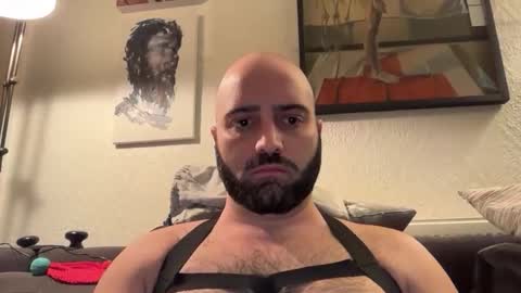 Snapshot of hairyleatherguy chatting on 11-02-25, 09:28 Hairy Guy online show from 11-02-25, 09:28