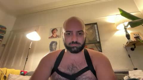 Snapshot of hairyleatherguy chatting on 02-16-26, 09:44 Hairy Guy online show from 02-16-26, 09:44