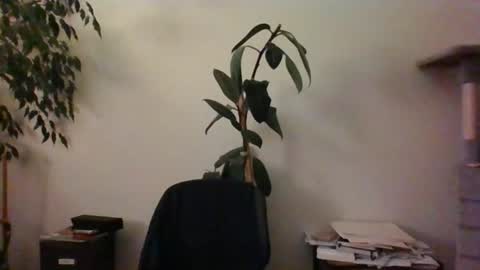 Snapshot of hairypussylover089 chatting on 06-24-26, 04:11 hairypussylover089 online show from 06-24-26, 04:11