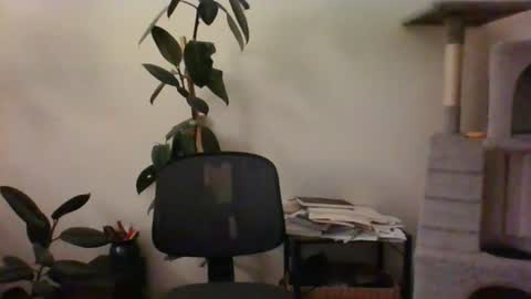 Snapshot of hairypussylover089 chatting on 07-12-26, 04:36 hairypussylover089 online show from 07-12-26, 04:36
