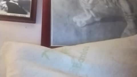 Snapshot of hairyspermballs chatting on 01-13-26, 01:33 Marty online show from 01-13-26, 01:33