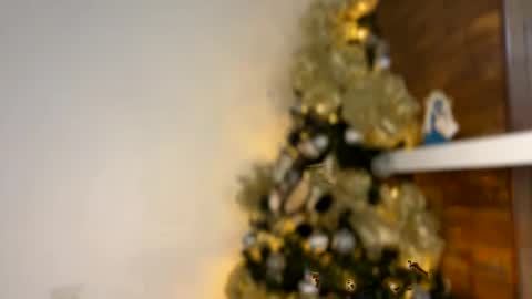 Independent       model  online show from 12-30-24, 02:42