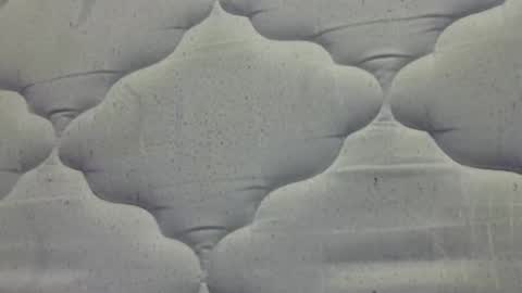 Snapshot of hamhead71 chatting on 04-15-26, 08:10 hamhead71 online show from 04-15-26, 08:10