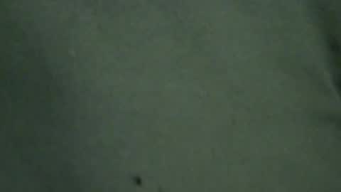 Snapshot of hamhead71 chatting on 06-20-26, 07:16 hamhead71 online show from 06-20-26, 07:16