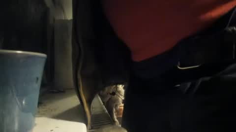 Snapshot of handncocknocum chatting on 12-08-24, 05:22 handncocknocum online show from 12-08-24, 05:22