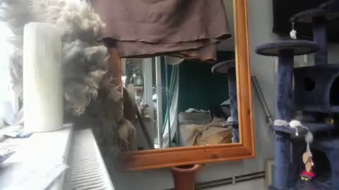 Snapshot of handncocknocum chatting on 12-09-24, 08:44 handncocknocum online show from 12-09-24, 08:44