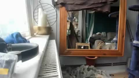 Snapshot of handncocknocum chatting on 12-17-24, 11:17 handncocknocum online show from 12-17-24, 11:17