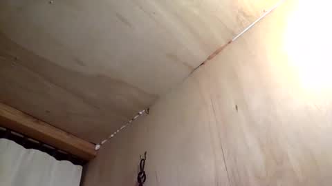 Snapshot of handywoody chatting on 02-01-26, 11:36 handywoody online show from 02-01-26, 11:36