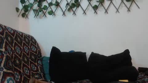 SARA  online show from 01-12-25, 04:00