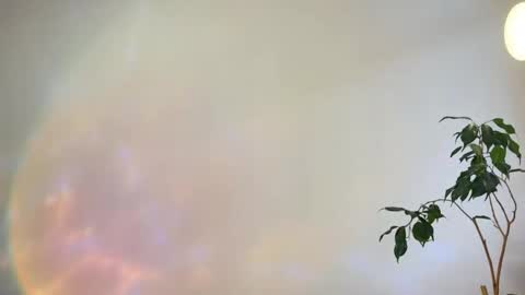 Snapshot of hannah_levis_ chatting on 02-25-26, 08:02 hannah levis online show from 02-25-26, 08:02