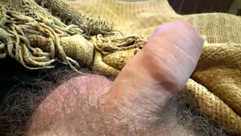 Snapshot of happygerman68 chatting on 09-14-25, 11:59 happygerman68 online show from 09-14-25, 11:59