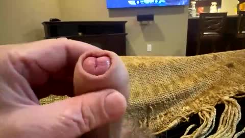 Snapshot of happygerman68 chatting on 10-24-25, 12:30 happygerman68 online show from 10-24-25, 12:30