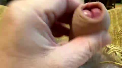 Snapshot of happygerman68 chatting on 10-27-25, 09:30 happygerman68 online show from 10-27-25, 09:30