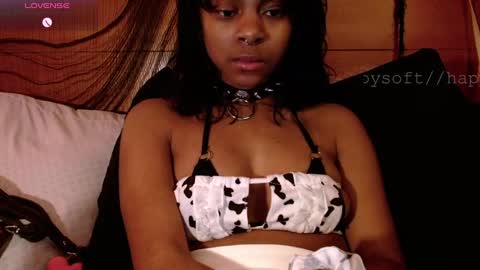 Snapshot of happysoft chatting on 03-03-25, 02:15 meatwad online show from 03-03-25, 02:15