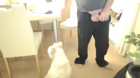 harald1234 online show from 02-21-26, 01:56