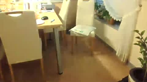 Snapshot of harald1234 chatting on 07-26-26, 01:18 harald1234 online show from 07-26-26, 01:18