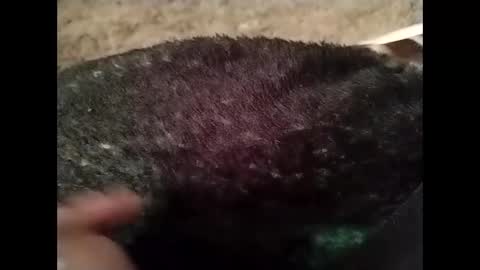 hardandhorny422 online show from 10-13-25, 05:24