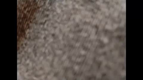 hardandhorny422 online show from 10-15-25, 11:54