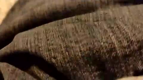 hardandhorny422 online show from 01-05-26, 06:44