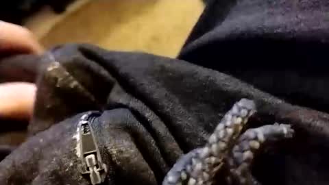 hardandhorny422 online show from 02-05-26, 01:05