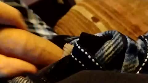 hardandhorny422 online show from 04-12-26, 06:35