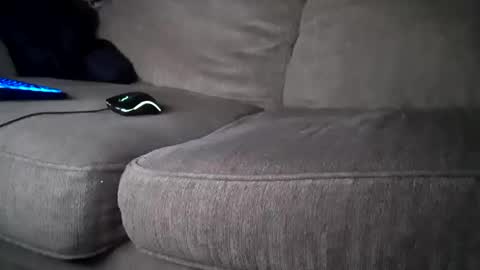 hardcock2share online show from 02-01-25, 04:00