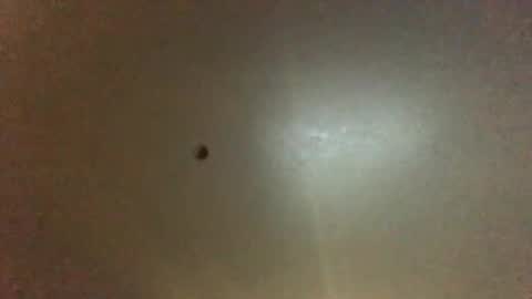 For You online show from 09-28-25, 11:21