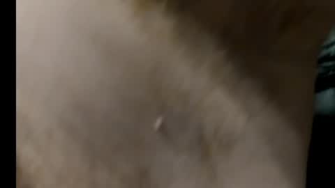 Snapshot of harry_banana chatting on 01-27-25, 08:29 harry_banana online show from 01-27-25, 08:29