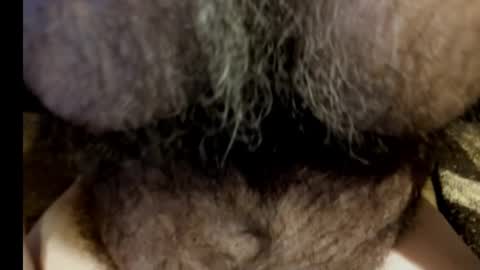 Snapshot of harry_banana chatting on 03-08-25, 08:55 harry_banana online show from 03-08-25, 08:55