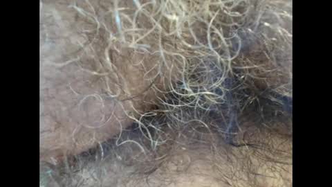 Snapshot of harry_banana chatting on 09-11-25, 01:11 harry_banana online show from 09-11-25, 01:11