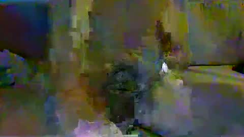 harryhavana online show from 02-11-25, 07:44