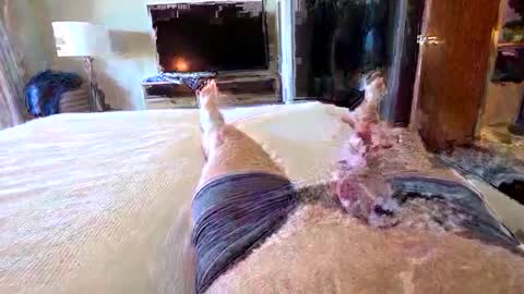 Snapshot of havebeardwilltravel3250 chatting on 01-15-26, 07:28 havebeardwilltravel3250 online show from 01-15-26, 07:28