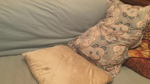 Snapshot of havedream1m chatting on 12-17-24, 12:11 havedream1m online show from 12-17-24, 12:11