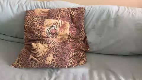 Snapshot of havedream1m chatting on 02-10-26, 10:08 havedream1m online show from 02-10-26, 10:08