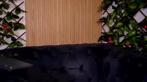 Snapshot of hayliemilf chatting on 12-22-24, 02:38 Haylie online show from 12-22-24, 02:38