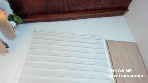 Snapshot of hazel_shy chatting on 02-04-25, 02:17 Im Hazel online show from 02-04-25, 02:17