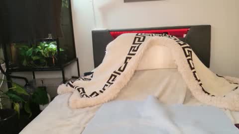 Hazeleo online show from 03-29-26, 11:16