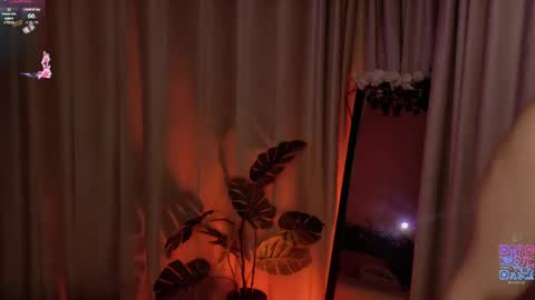 hazelhayess online show from 05-11-26, 03:51
