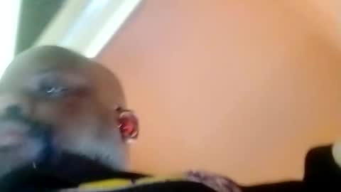 Snapshot of hbdj2164 chatting on 02-23-25, 03:40 hbdj2164 online show from 02-23-25, 03:40